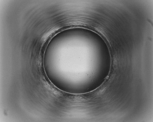 X0000102820979200808181242
