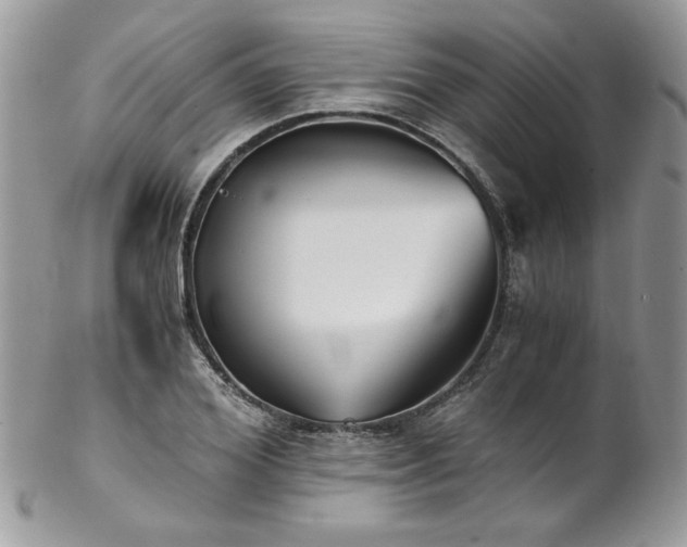 X0000102820980200808181242