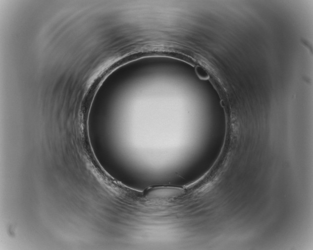 X0000102820981200808181242