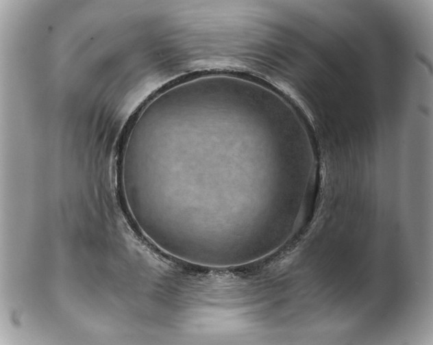 X0000102820983200808181242