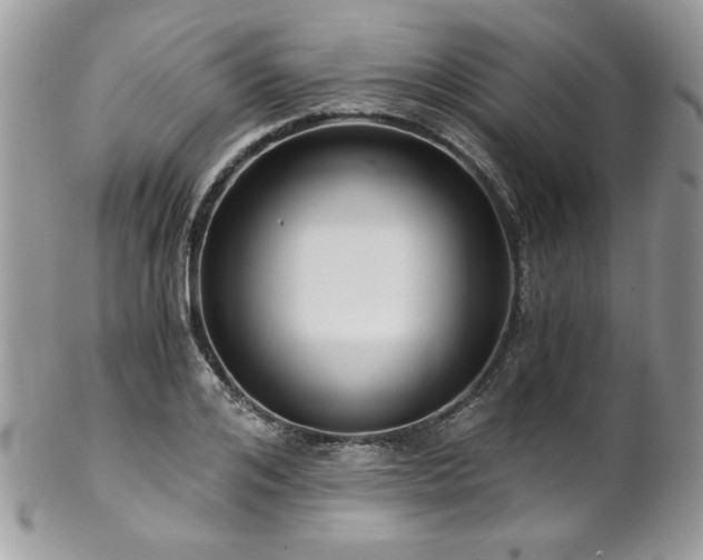 X0000102820984200808181242