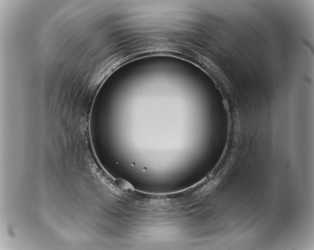 X0000102820985200808181242