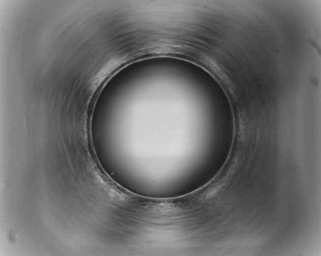 X0000102820986200808181242