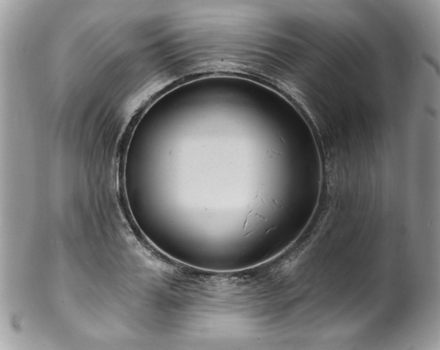 X0000102820987200808181242