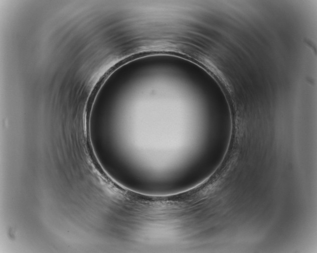 X0000102820988200808181242
