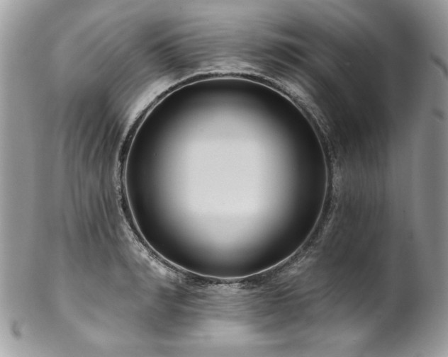 X0000102820990200808181242