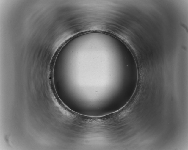X0000102820991200808181242