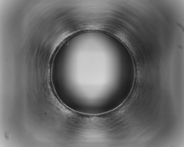 X0000102820992200808181242