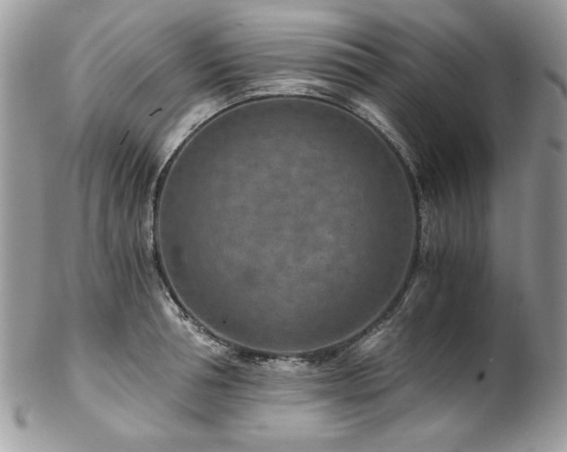 X0000102820994200808181242