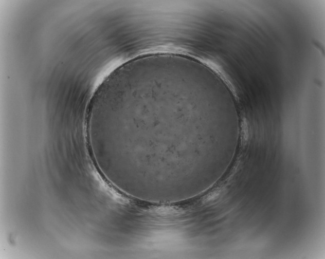 X0000102820998200808181242