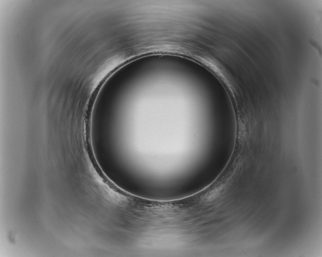 X0000102820999200808181242