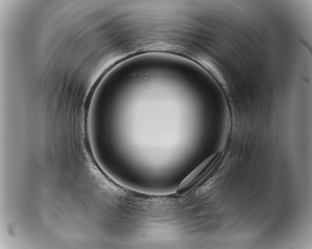 X0000102821000200808181242