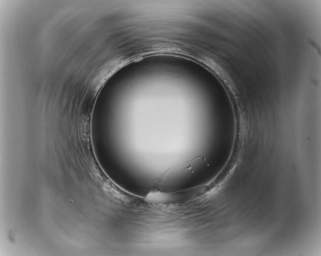 X0000102821001200808181242