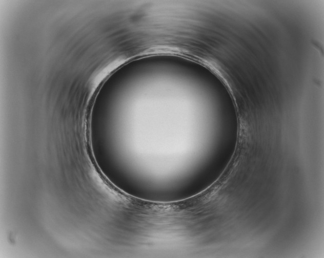 X0000102821003200808181242