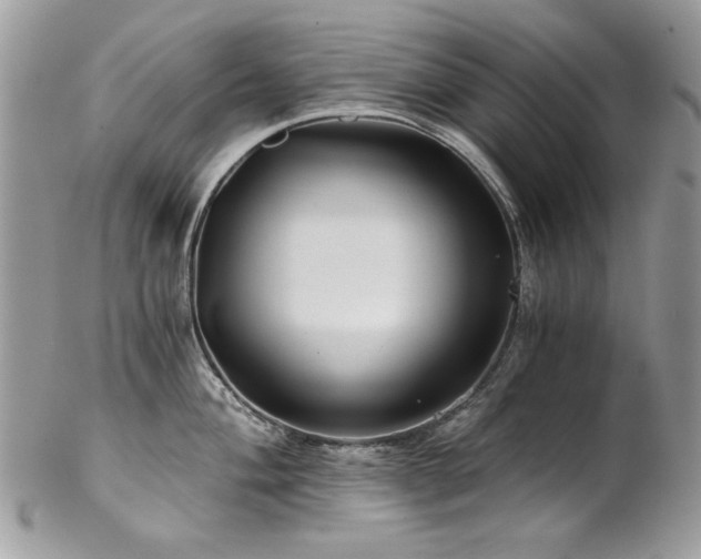X0000102821004200808181242