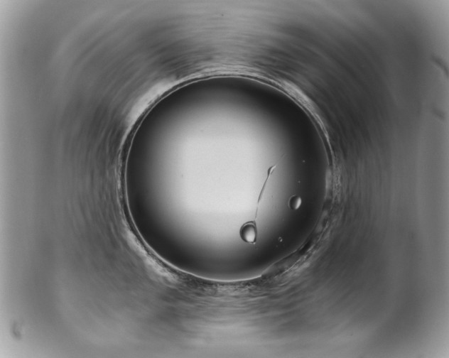 X0000102821005200808181242