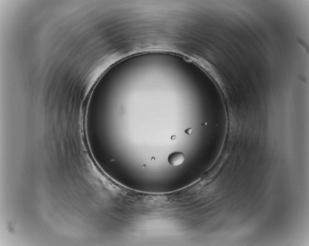 X0000102821006200808181242