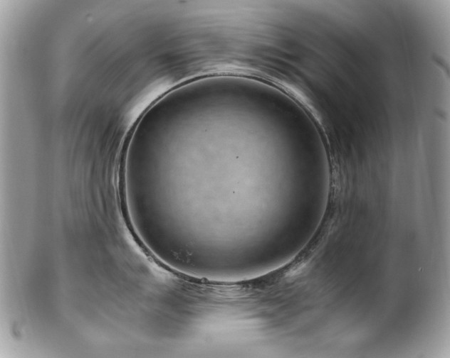 X0000102821007200808181242