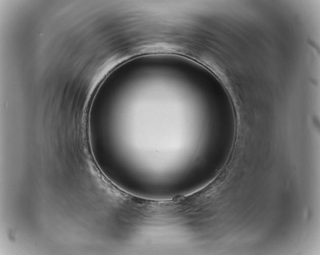X0000102821008200808181242