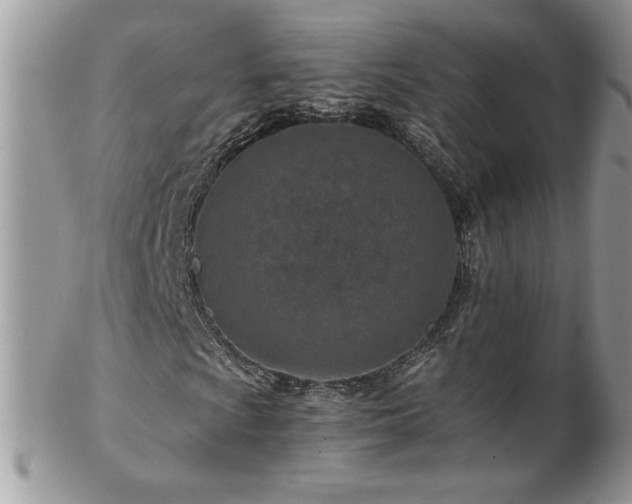 X0000102821009200808181241