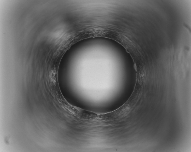 X0000102821010200808181241