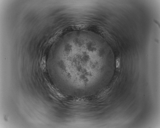 X0000102821011200808181241
