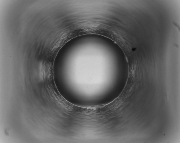 X0000102821012200808181241