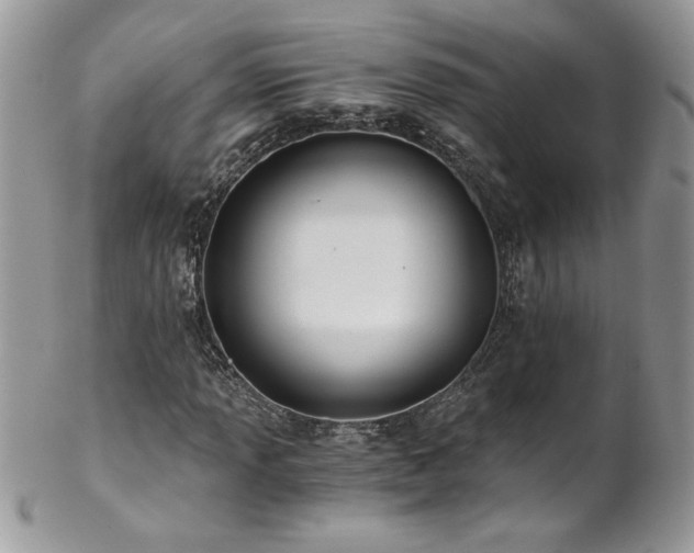 X0000102821013200808181241