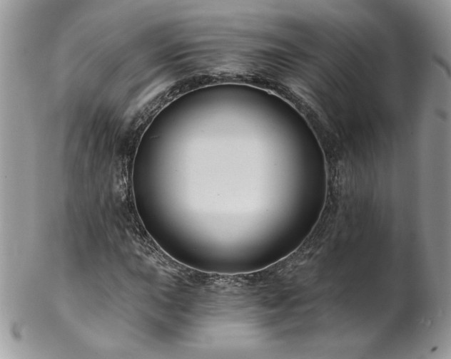 X0000102821015200808181241