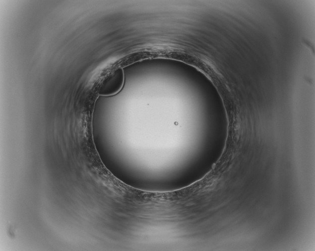 X0000102821016200808181241