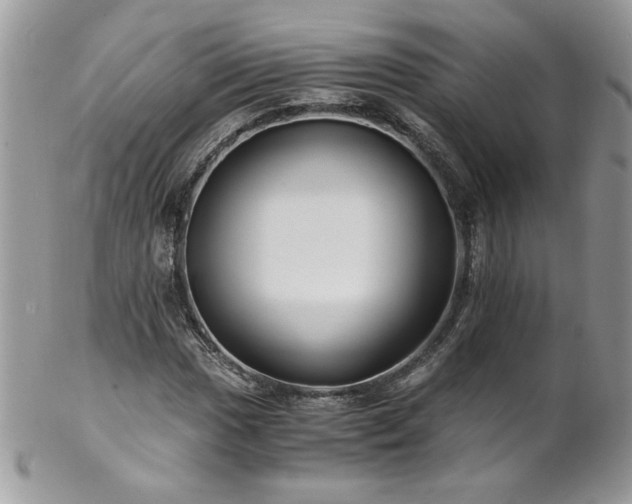X0000102821017200808181241