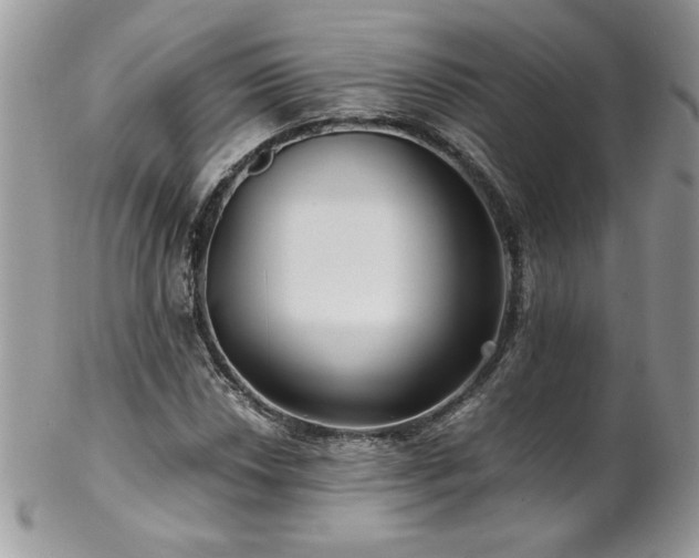 X0000102821018200808181241