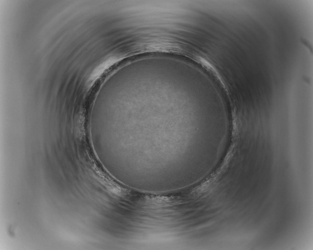 X0000102821019200808181241