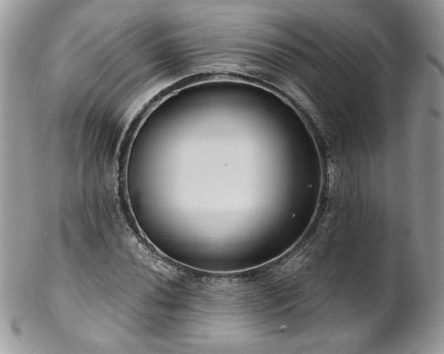 X0000102821020200808181241