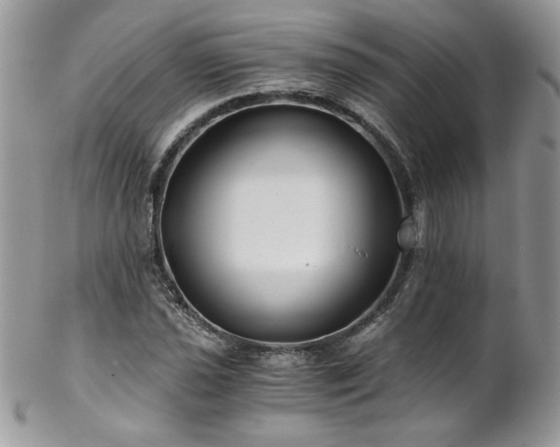 X0000102821021200808181241