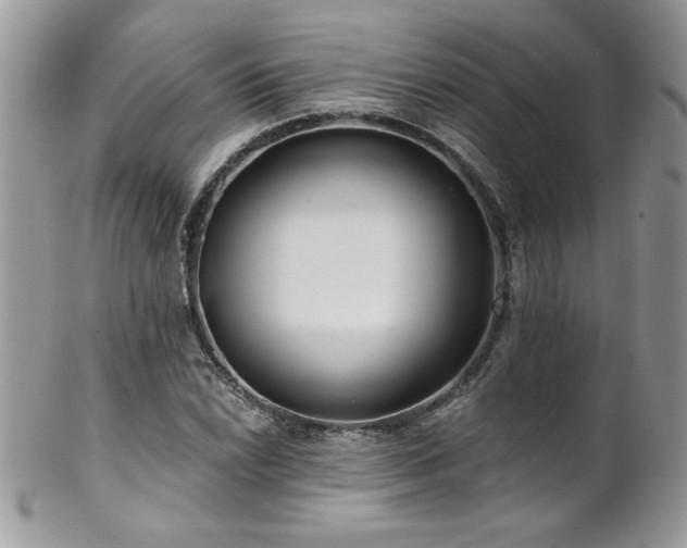 X0000102821022200808181241