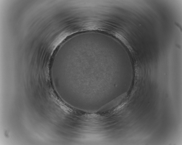X0000102821023200808181241