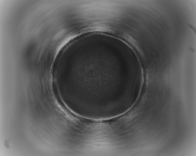 X0000102821024200808181241