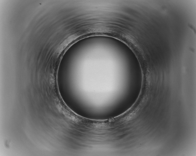 X0000102821025200808181241