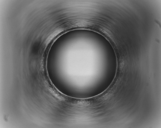 X0000102821026200808181241