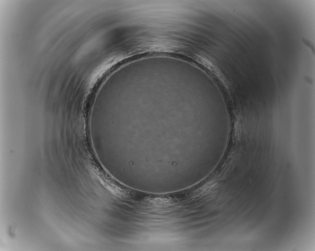 X0000102821027200808181241