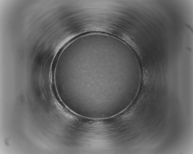 X0000102821028200808181241