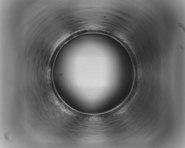 X0000102821029200808181241