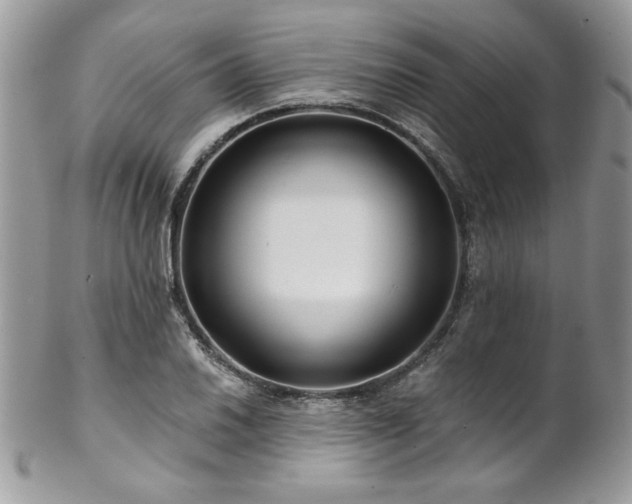 X0000102821030200808181241