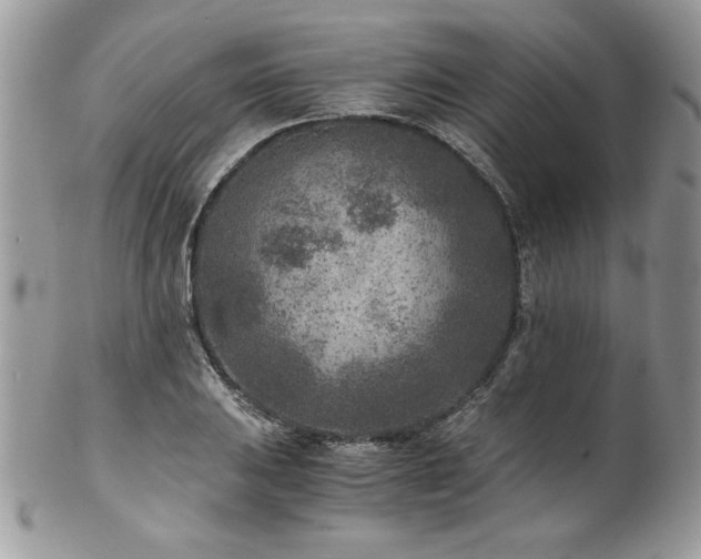 X0000102821031200808181241