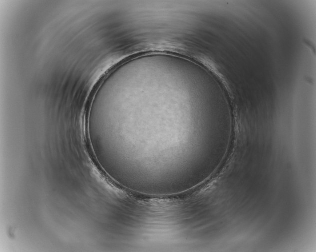 X0000102821032200808181241
