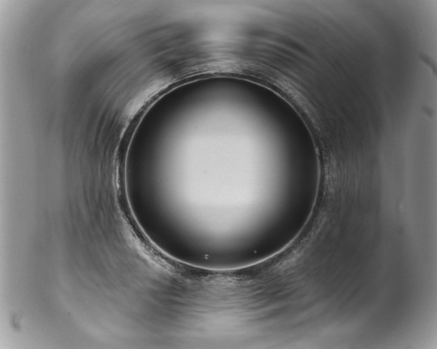 X0000102821034200808181241