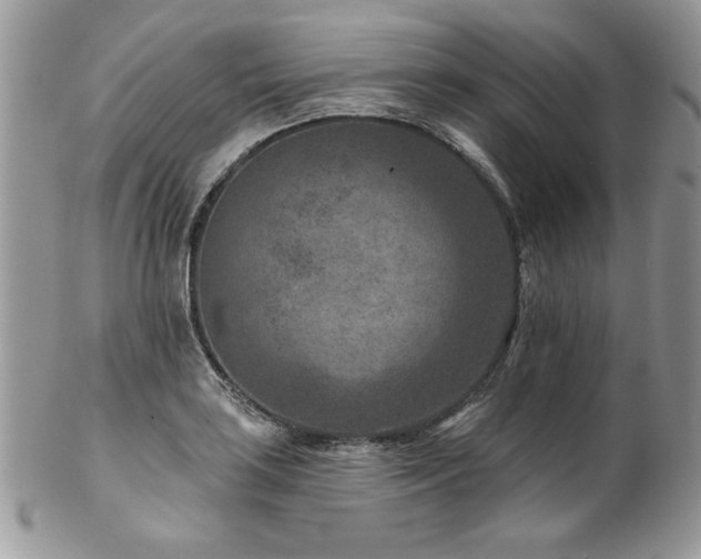 X0000102821035200808181241