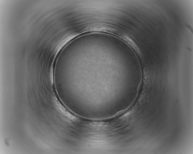 X0000102821036200808181241
