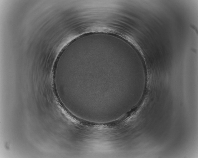 X0000102821037200808181241